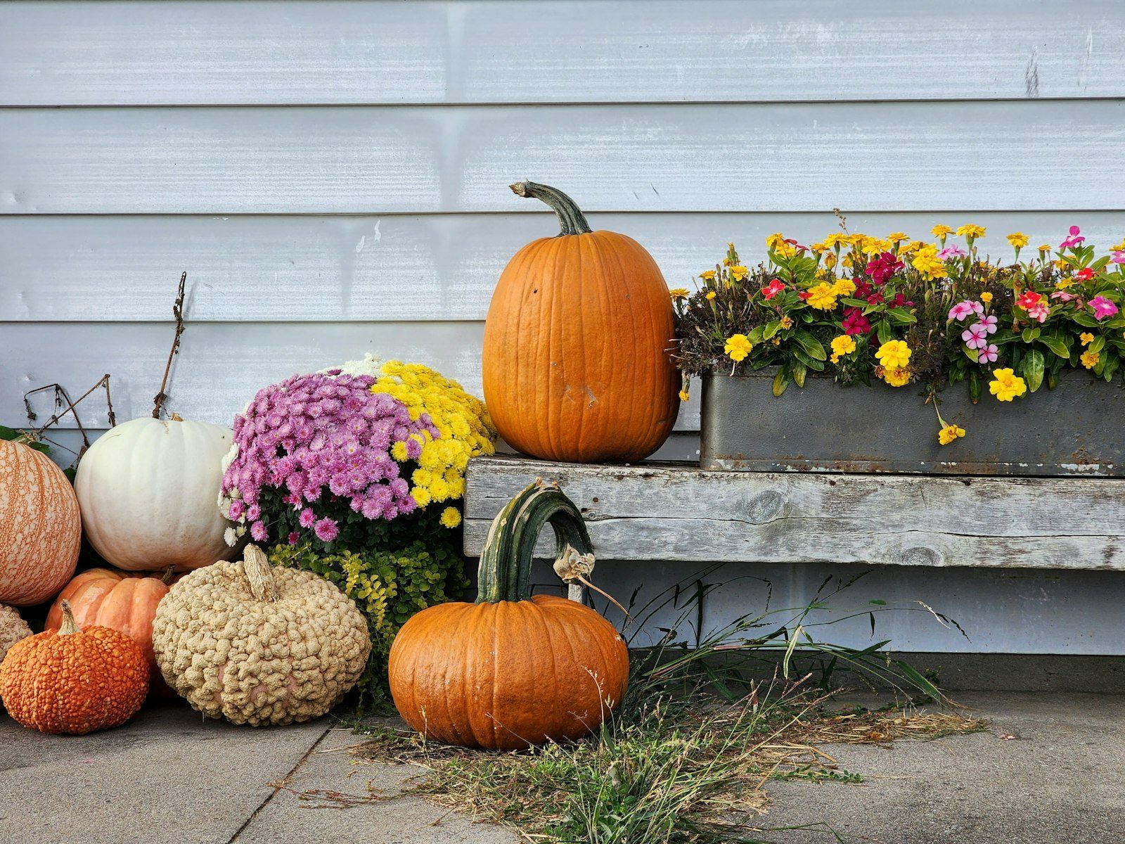 Thanksgiving porch with pumpkins and mums